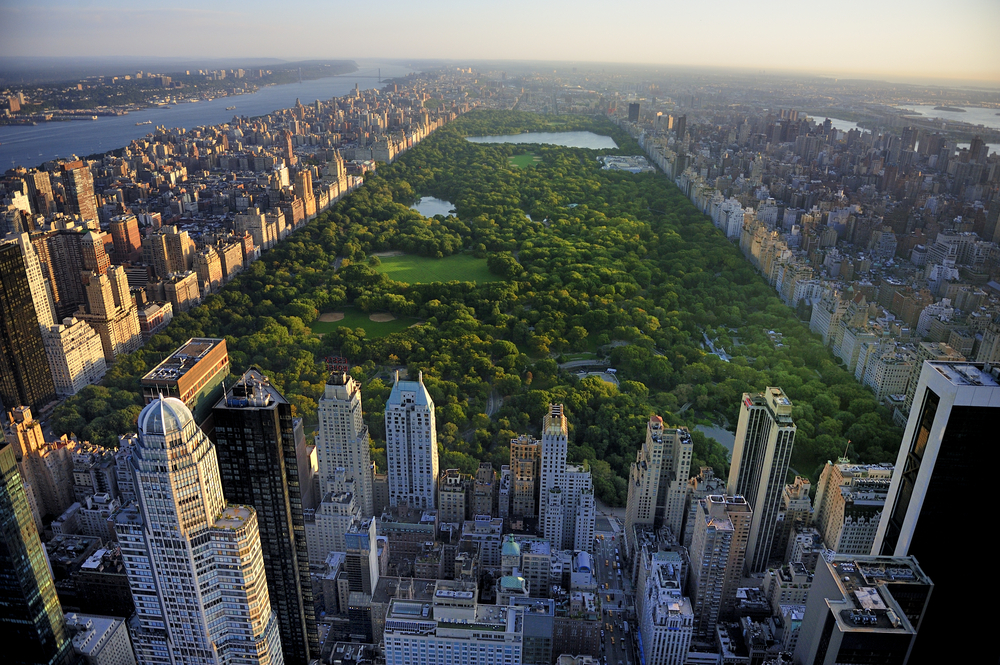 building-your-real-estate-education