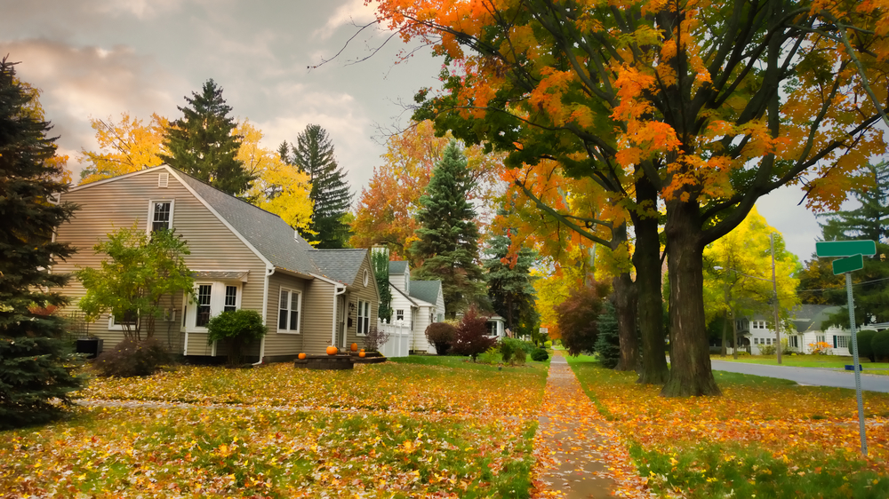 shutterstock_229503277